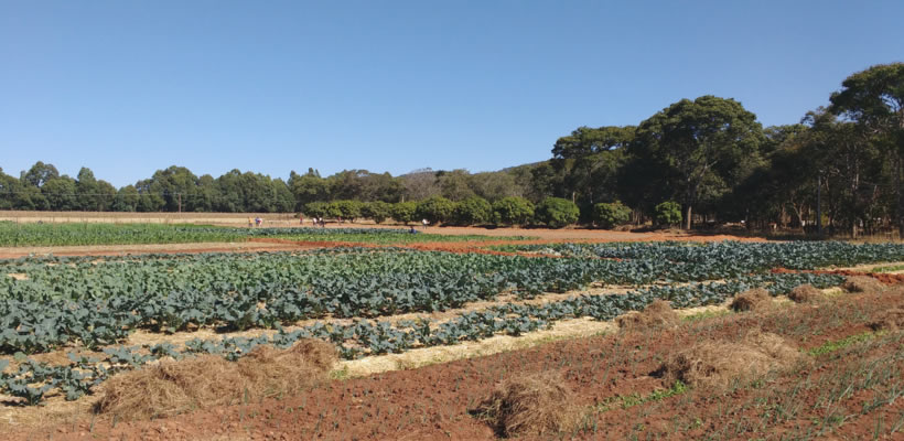 Chengelo Training Farm