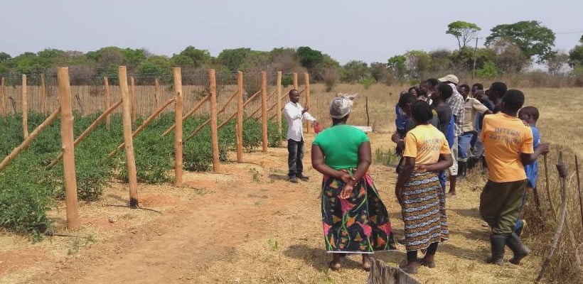 Chengelo Training Farm