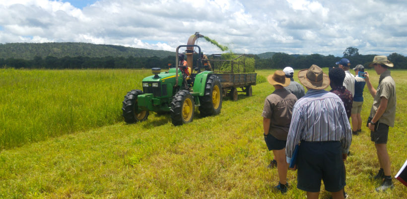 BTEC Agriculture Field Trip to Linton Farm