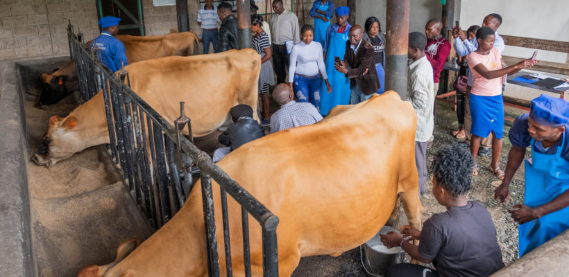 Mkushi Youth Development Centre visit CTF