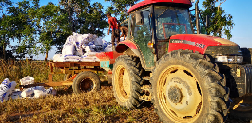 BTEC Agriculture Work Experience – Adam Sherriff