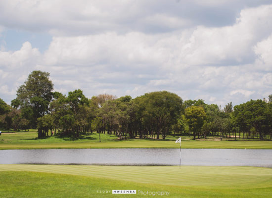 Bonanza Golf Day