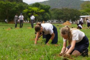 Planting Hope