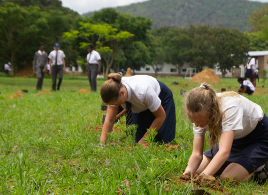 Planting Hope