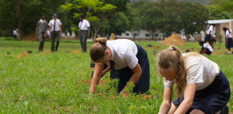 Planting Hope